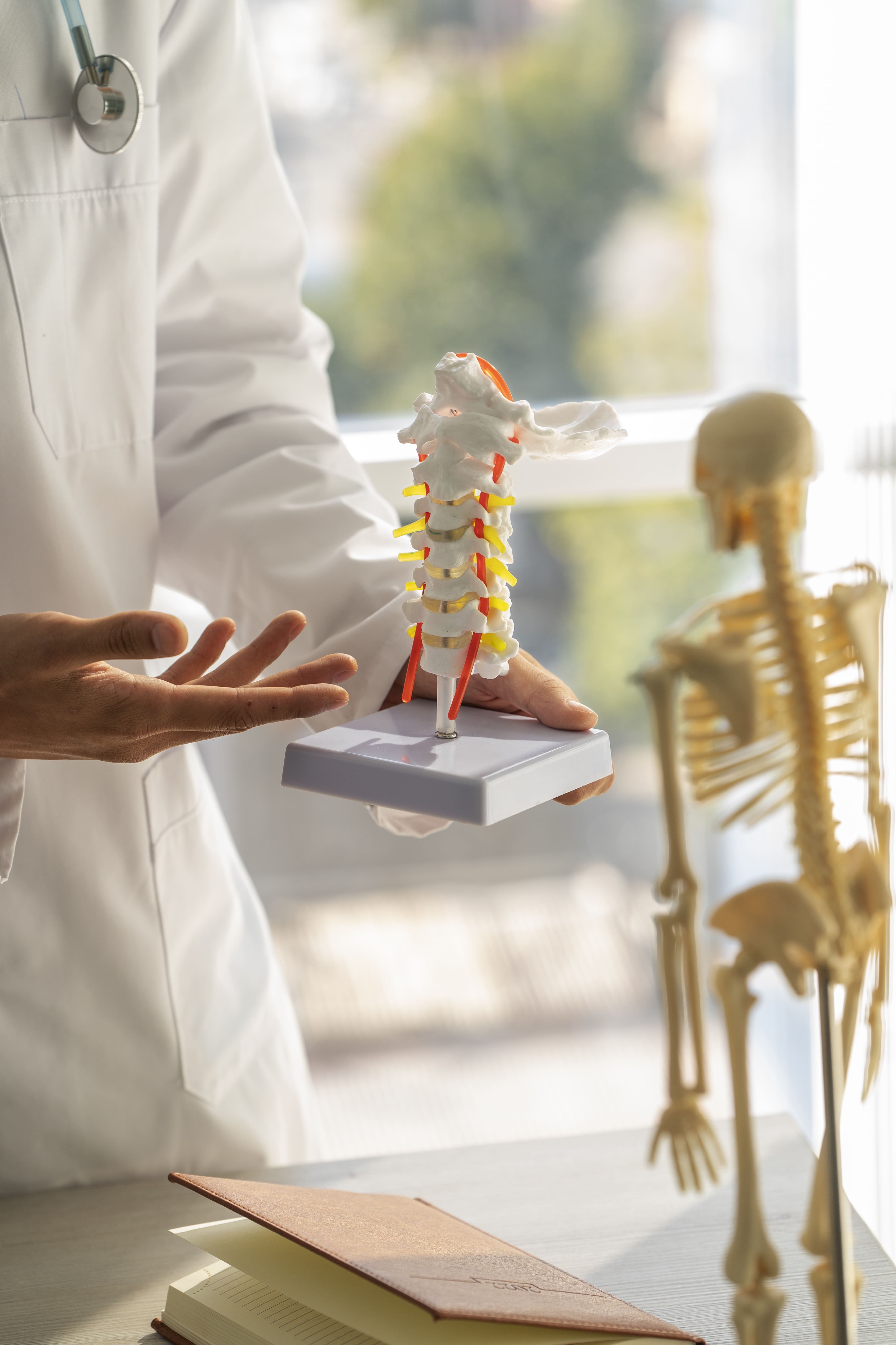 Orthopedic Department